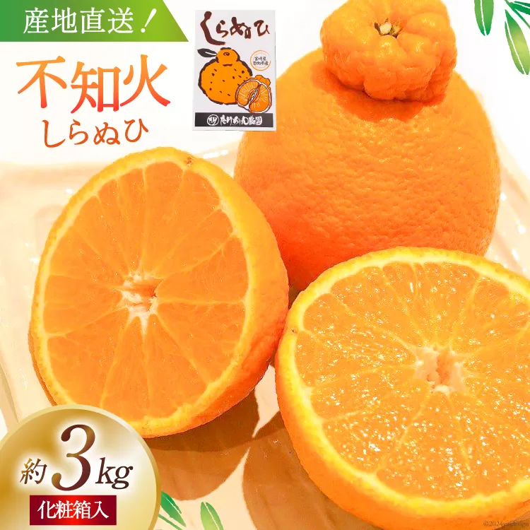 【期間限定発送】じゅわーっと甘い 不知火 約3kg（ハウス栽培・化粧箱入り） [たけちゃん農園 宮崎県 日向市 452060822] 果物 フルーツ 柑橘類