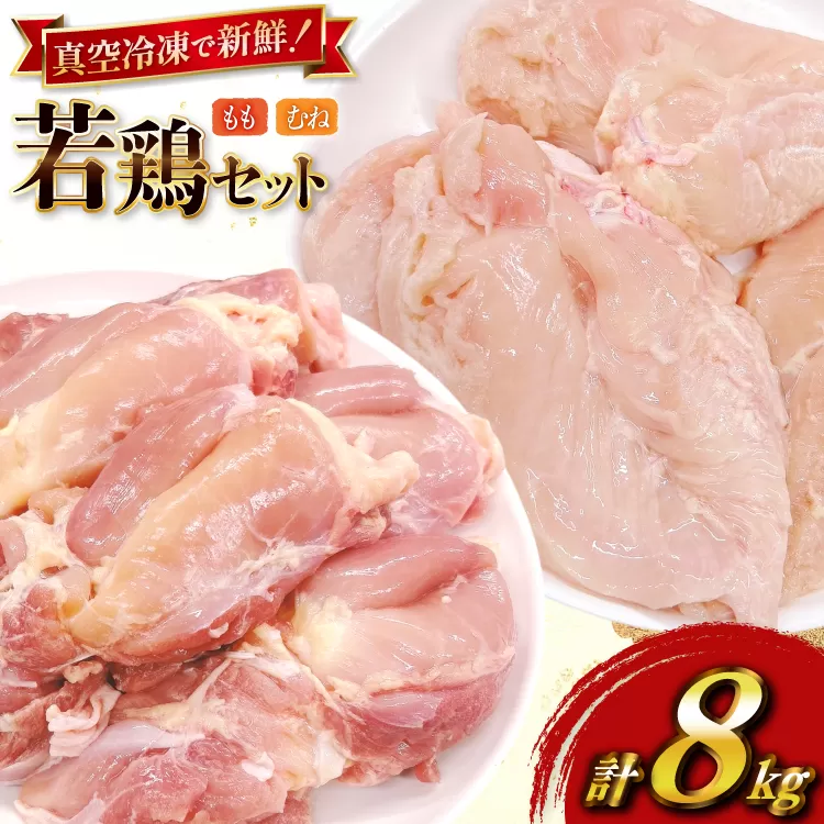鶏肉 セット 宮崎県産 若鶏 もも身 むね身 各 1kg 4p 計8kg セット [TRINITY 宮崎県 日向市 452061338] 業務用 とり肉 もも もも肉 モモ モモ肉 鶏肉もも むね肉 むね ムネ肉 胸 宮崎 詰め合わせ 冷凍 肉