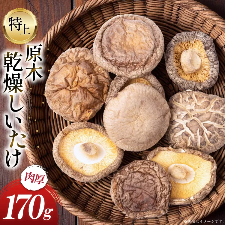 国産 特上 原木 乾燥 しいたけ 肉厚どんこ 170g [浜辺しいたけ 宮崎県 日向市 452061577] 椎茸 どんこ 乾燥しいたけ 乾燥椎茸