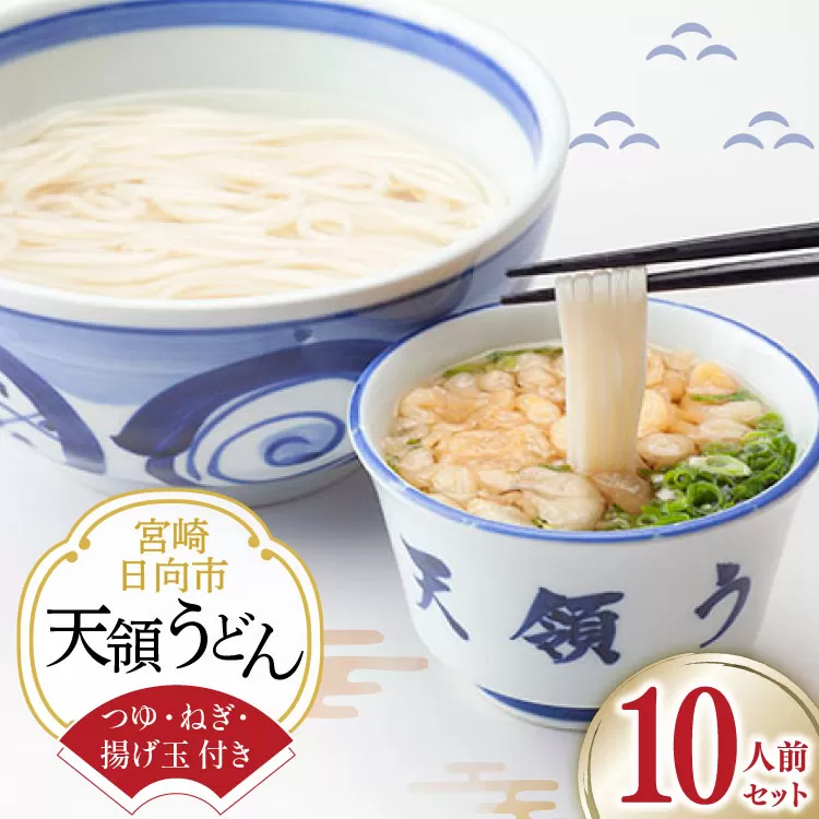 うどん 生麺 天領うどん つゆ ねぎ 揚げ玉 付き 10人前 セット [天領うどん本店 宮崎県 日向市 452061556] ウドン 釜揚げ 釜揚げうどん