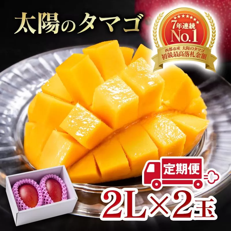[2カ月定期便]先行予約 最高級ブランド『太陽のタマゴ』2L×2個×2回[糖度15度以上]宮崎県西都市産完熟マンゴー[7.5-13]宮崎マンゴー 果物 フルーツ 甘い