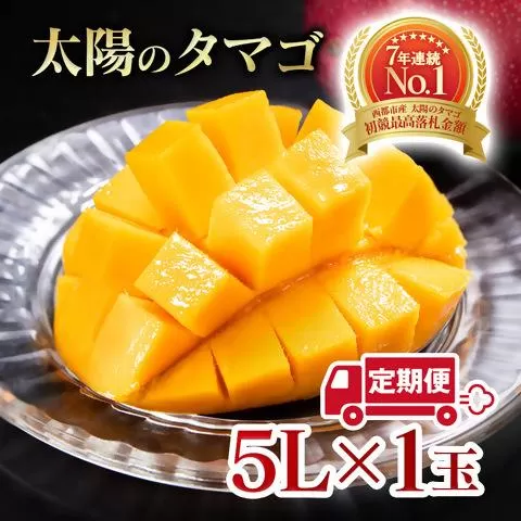 [2カ月定期便]先行予約 最高級ブランド『太陽のタマゴ』5L×1個×2回[糖度15度以上]宮崎県西都市産完熟マンゴー[8-9]宮崎マンゴー 果物 フルーツ 甘い