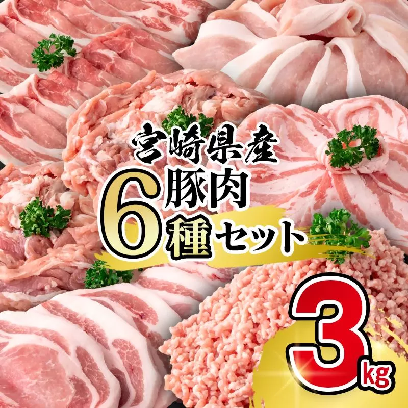 宮崎県産豚肉 6種 バラエティ3kgセット＜1.6-41＞小分け スライス 鍋 トンカツ 餃子等