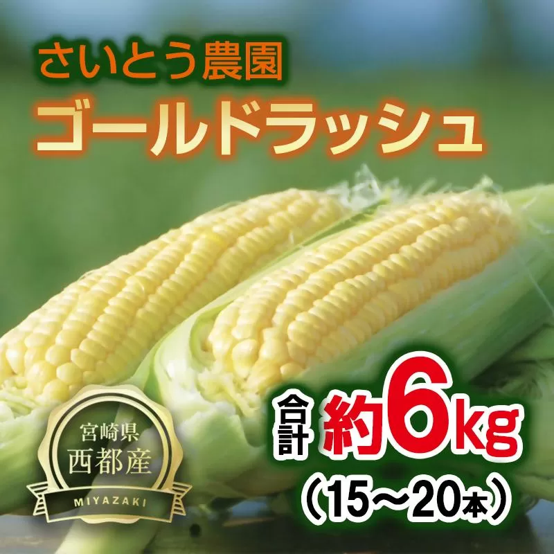 【さいとう農園】朝どれ！ スイートコーン『ゴールドラッシュ』約6kg 15本～20本【先行予約】＜1.1-48＞とうもろこし トウモロコシ★