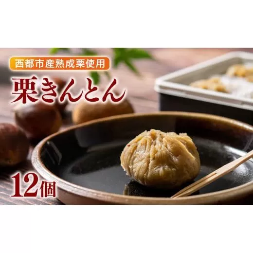 【年末発送】栗きんとん 6個入り×2 合計12個【先行予約】＜1-286＞くり 栗  国産 生栗 果物 フルーツ スイーツ★