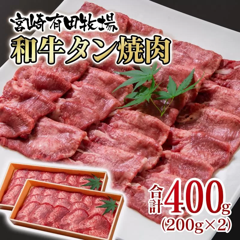 【個数限定】黒毛和牛 薄切り牛タン400g （200g×2）小分け 国産牛タン＜2-17＞宮崎有田牧畜産業
