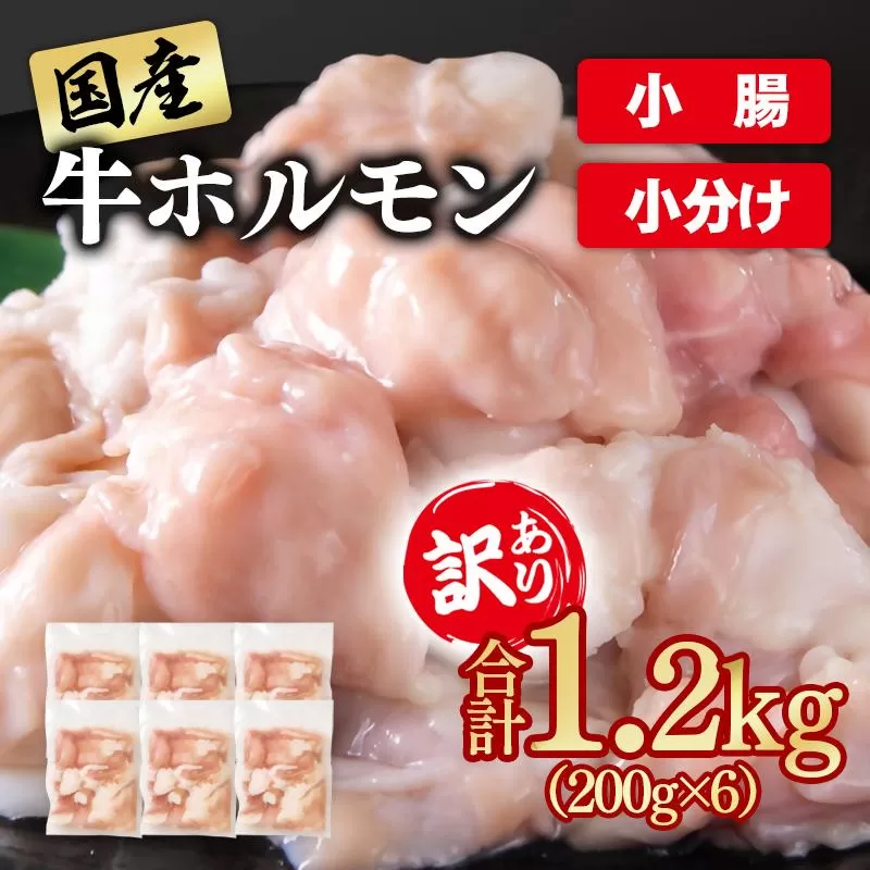 訳あり牛ホルモン1.2㎏ 小分け200g×6 国産 ホルモン もつ鍋 焼肉用 国産牛 牛モツ コラーゲン＜1-300＞