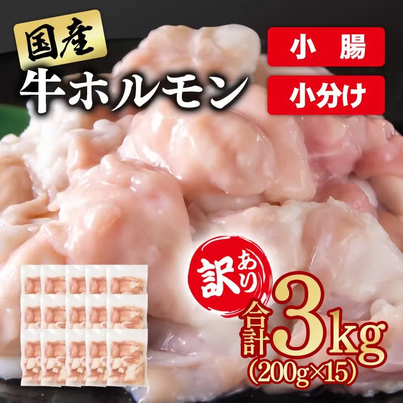 訳あり牛ホルモン3㎏ 小分け200g×15 国産 ホルモン もつ鍋 焼肉用 国産牛 牛モツ コラーゲン＜2-111＞