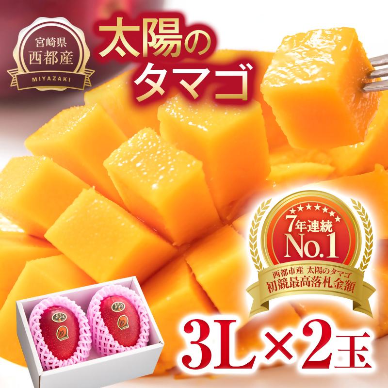 【先行予約】最高級ブランド『太陽のタマゴ』大玉 3L×2個【糖度15度以上】宮崎県西都市産完熟マンゴー＜3.1-3＞2026年発送