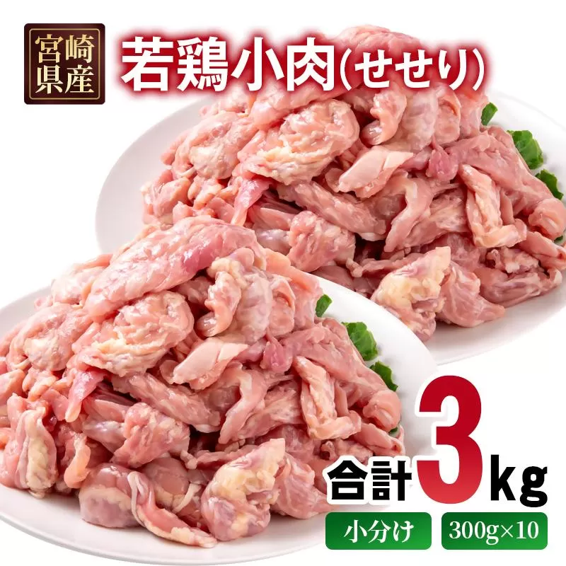宮崎県産若鶏 小肉（せせり）3kg 小分け 300g ×10パック＜2-108＞