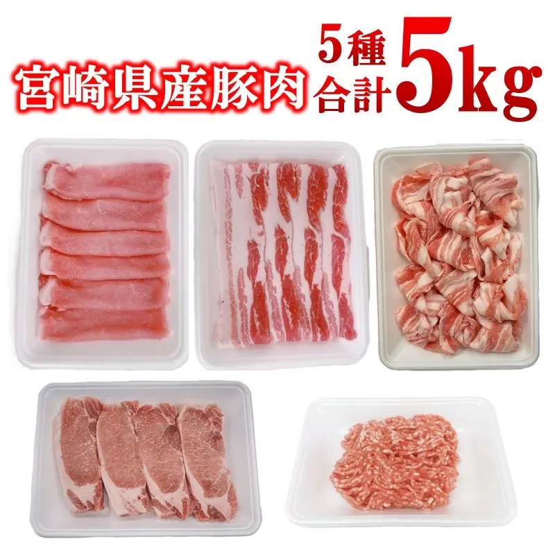 宮崎県産豚肉 5種 合計5kg セット 小分け24パック＜2-109＞