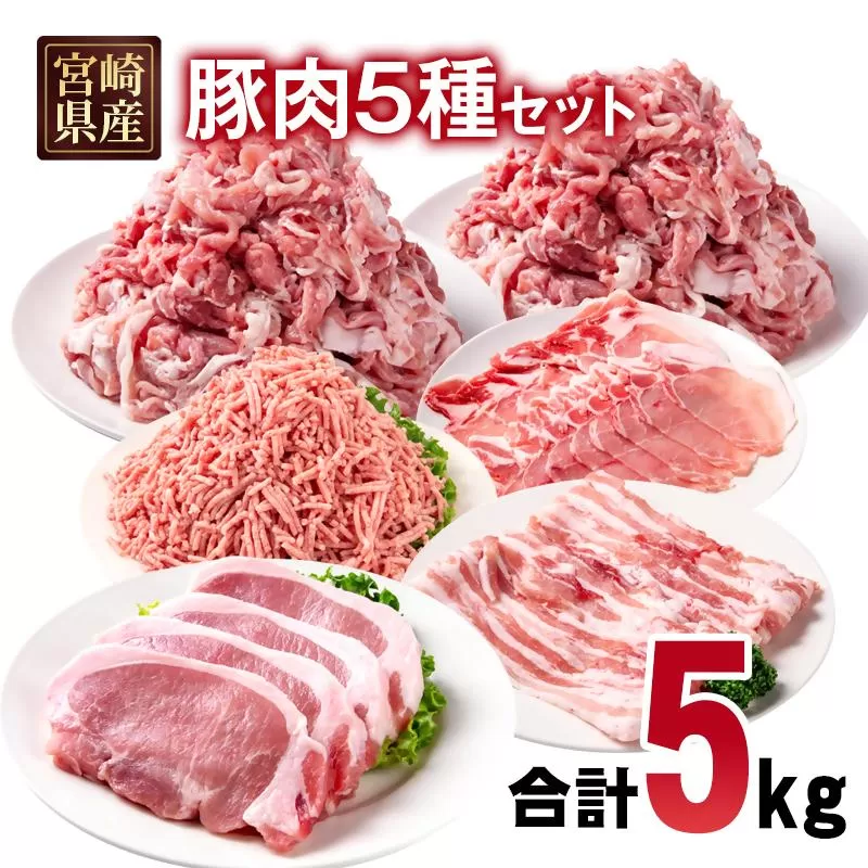 宮崎県産豚肉 5種 合計5kg セット 小分け24パック＜2-109＞