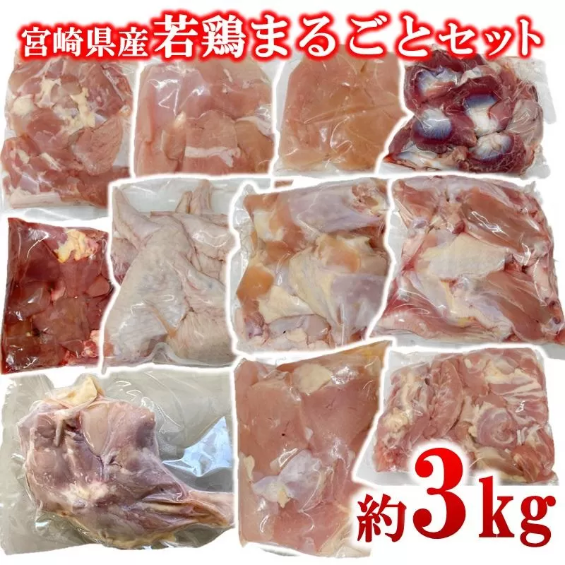 宮崎県産若鶏 11種 合計3.05kgセット 小分け もも肉 むね肉 筋なしささみ 砂肝等々 小分け 11パック＜1.4-34＞