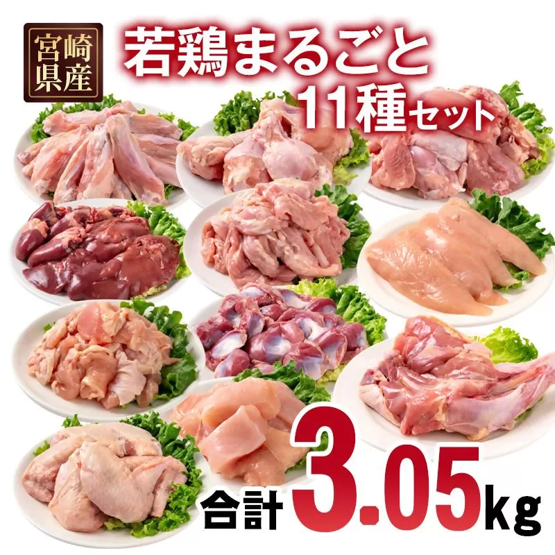 宮崎県産若鶏 11種 合計3.05kgセット 小分け もも肉 むね肉 筋なしささみ 砂肝等々 小分け 11パック＜1.4-34＞