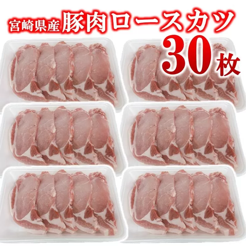 宮崎県産豚肉 ロースカツ用30枚セット 小分け 5枚入り×6パック＜2-110＞