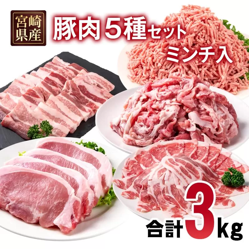 宮崎県産豚肉 5種 合計3kgセット スライス とんかつ 焼肉 切り落とし ミンチ 小分け 11パック＜1.5-238＞