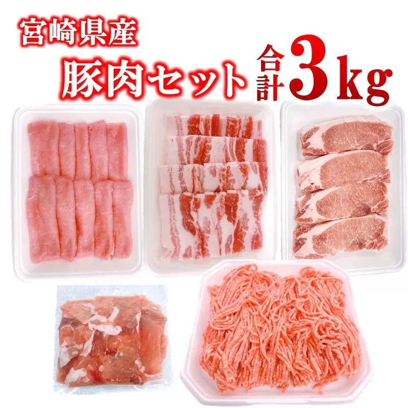 宮崎県産豚肉 5種 合計3kgセット スライス とんかつ 焼肉 切り落とし ミンチ 小分け 11パック＜1.5-238＞