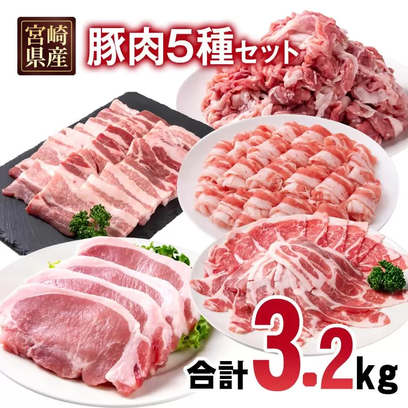 宮崎県産豚肉 5種 合計3.2kgセット 小分け 13パック 切り落とし ロース バラ＜1.6-42＞