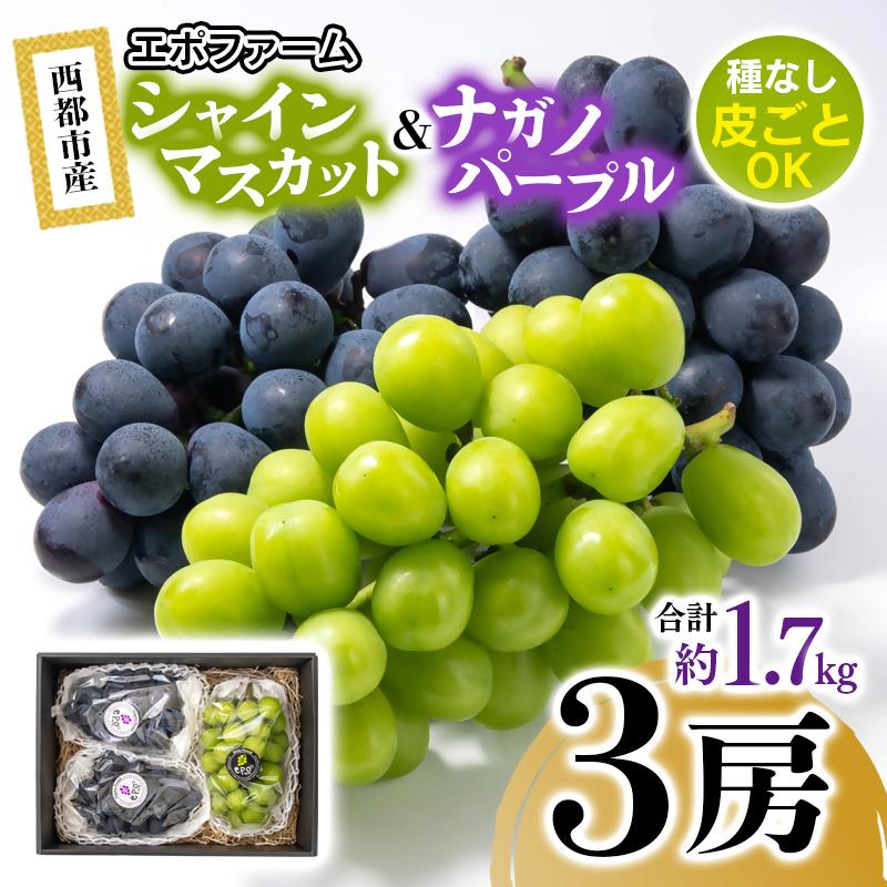 【先行予約】シャインマスカット・ナガノパープル 食べ比べセット 計1.7kg以上 宮崎県西都市産ぶどう 2026年発送＜66-1a＞