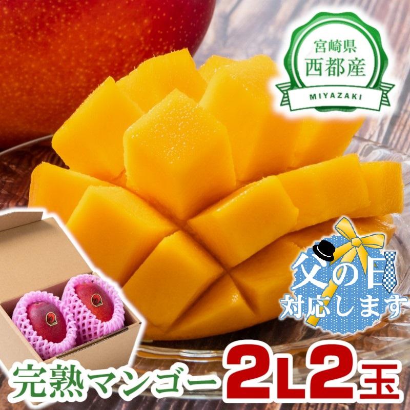 【父の日ギフト】2026年発送 西都市産完熟マンゴー 2L×2玉 糖度12度以上＜26-11a＞宮崎完熟マンゴー 果物 フルーツ 甘い