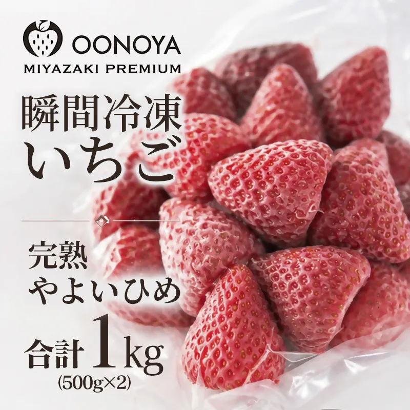 苺大野屋　完熟瞬間冷凍苺　自然栽培苺やよいひめ　1ｋｇ（500ｇ×2）＜28-7a＞
