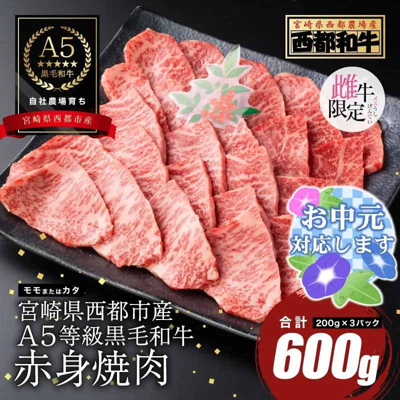 【お中元ギフト】『最高品質のA5等級 西都和牛』黒毛和牛赤身焼肉 600g（200g×3）オレイン酸含有率55%以上 カミチクファーム＜62-4a＞