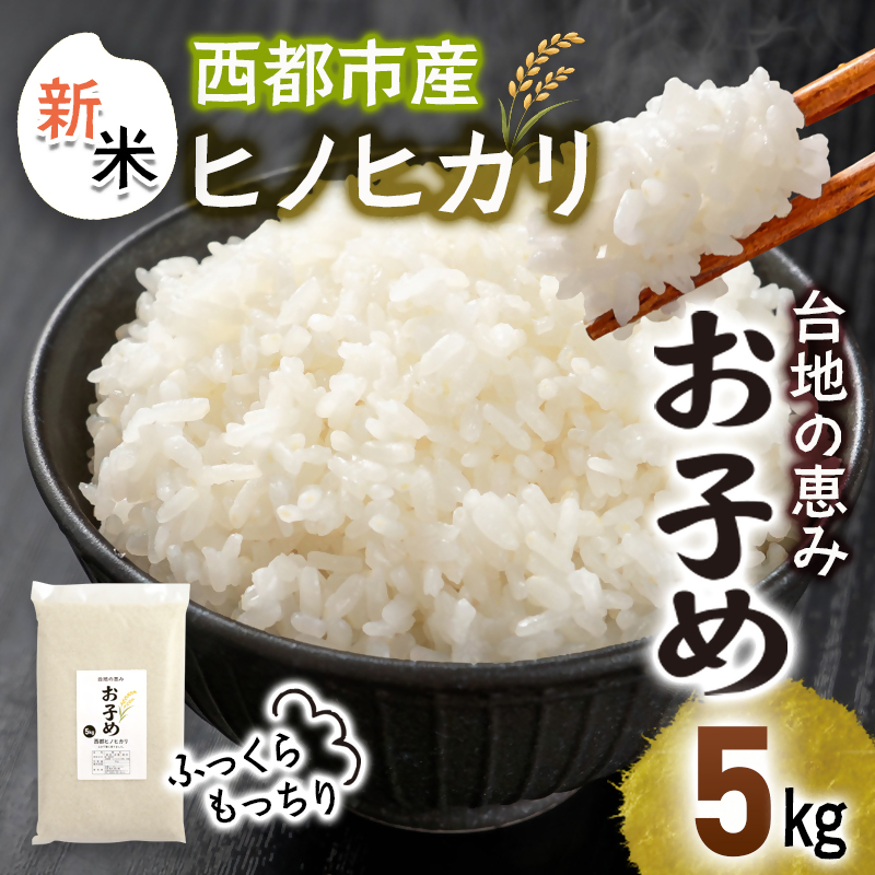 【先行受付】令和8年産ひのひかり5kg～台地の恵み『お子め』～西都市産【※10月以降順次発送】精米済み＜59-2a＞