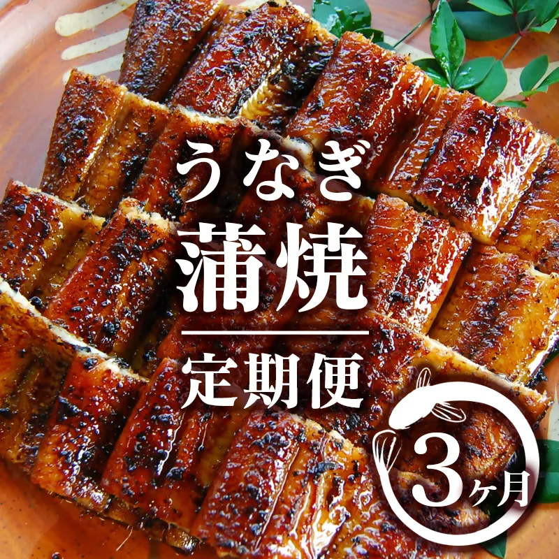 【3ヶ月定期便】（1月〜3月お届け）2027年発送 西都市うなぎ名店巡り 入船 本部うなぎ屋 藤うなぎ 国産 蒲焼 かば焼き 鰻 ウナギ＜1-13a＞