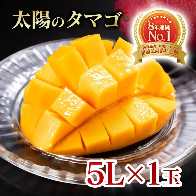 6月発送【先行予約】最高級ブランド『太陽のタマゴ』5L×1個【糖度15度以上】宮崎県西都市産完熟マンゴー＜68-9a＞宮崎マンゴー 果物 フルーツ 甘い