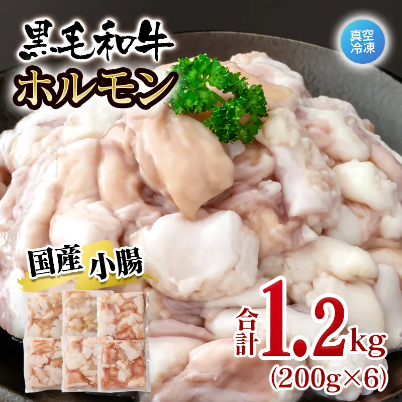 黒毛和牛ホルモン 1.2kg 小分け200g×6 国産牛肉 焼肉 焼き肉 もつ 真空パック＜58-68a＞