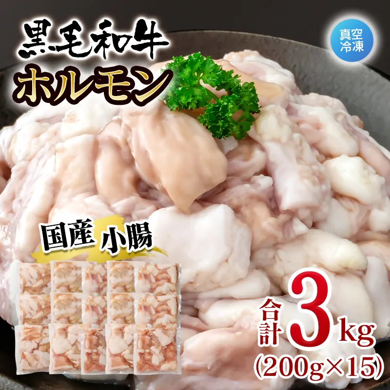 黒毛和牛ホルモン 3kg 小分け200g×15 国産牛肉 焼肉 焼き肉 もつ 真空パック＜58-70a＞