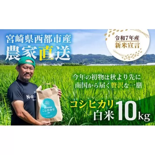 【令和7年産新米・先行予約】こしひかり 10kg ※8月上旬以降順次発送予定 精米済み ＜2.4-8＞ 新米 こしひかり お米 精米 10キロ 米 ライス 宮崎県 西都市