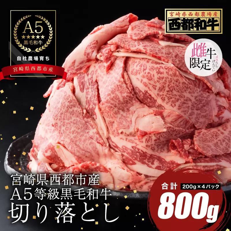 【最高品質のA5等級 西都和牛】黒毛和牛切り落とし 800g （200ｇ×4）小分け 宮崎県産＜1.2-19＞【カミチクファーム】牛肉 切り落とし