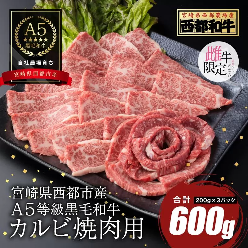 【最高品質のA5等級 西都和牛】黒毛和牛カルビ焼肉600g 小分け カミチクファーム＜1.9-5＞