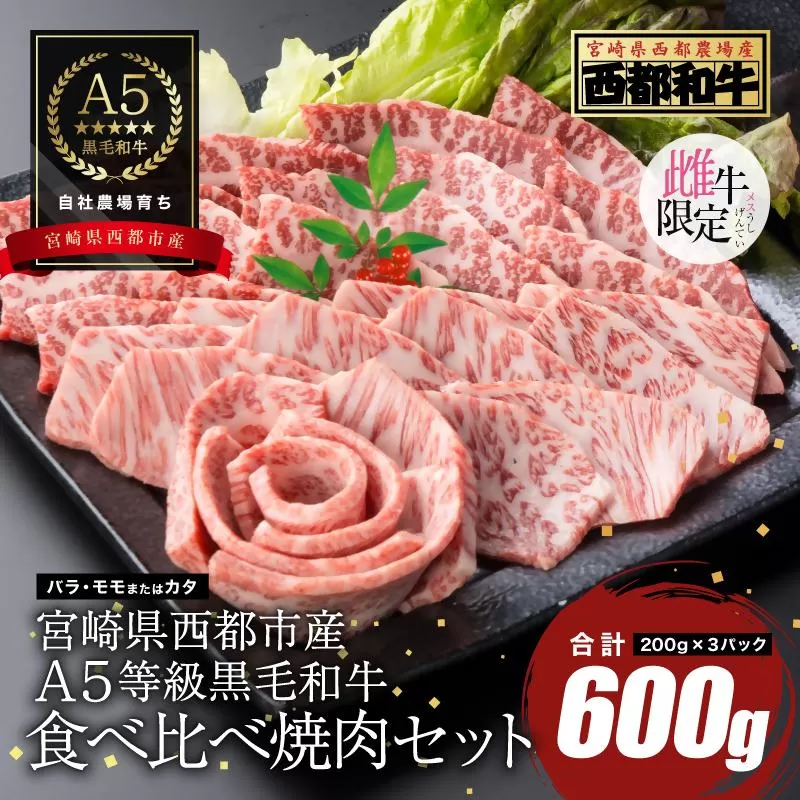 【最高品質のA5等級 西都和牛】黒毛和牛食べ比べ焼肉セット 600g（200ｇ×3） 赤身・カルビ 小分け 宮崎県産 カミチクファーム＜1.7-35＞