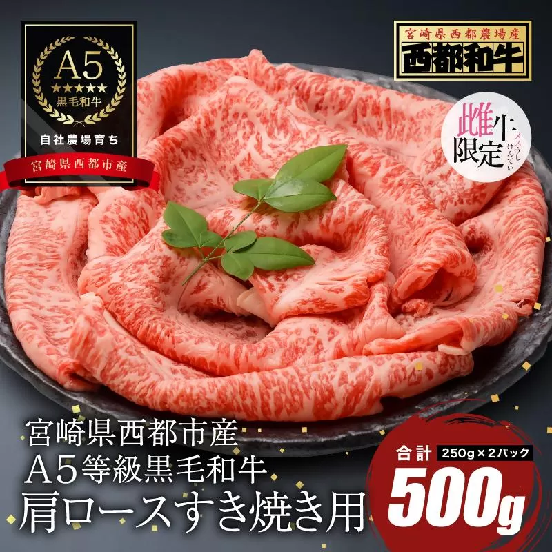 【最高品質のA5等級 西都和牛】黒毛和牛肩ローススライス500g （250g×2） すき焼き 焼きしゃぶ 小分け 宮崎県産 カミチクファーム＜1.2-20＞★