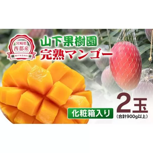 [先行予約]山下果樹園 西都市産完熟マンゴー2玉(合計900g以上)化粧箱入り 2026年発送 [1.8-17]果物 くだもの フルーツ 西都市 宮崎県