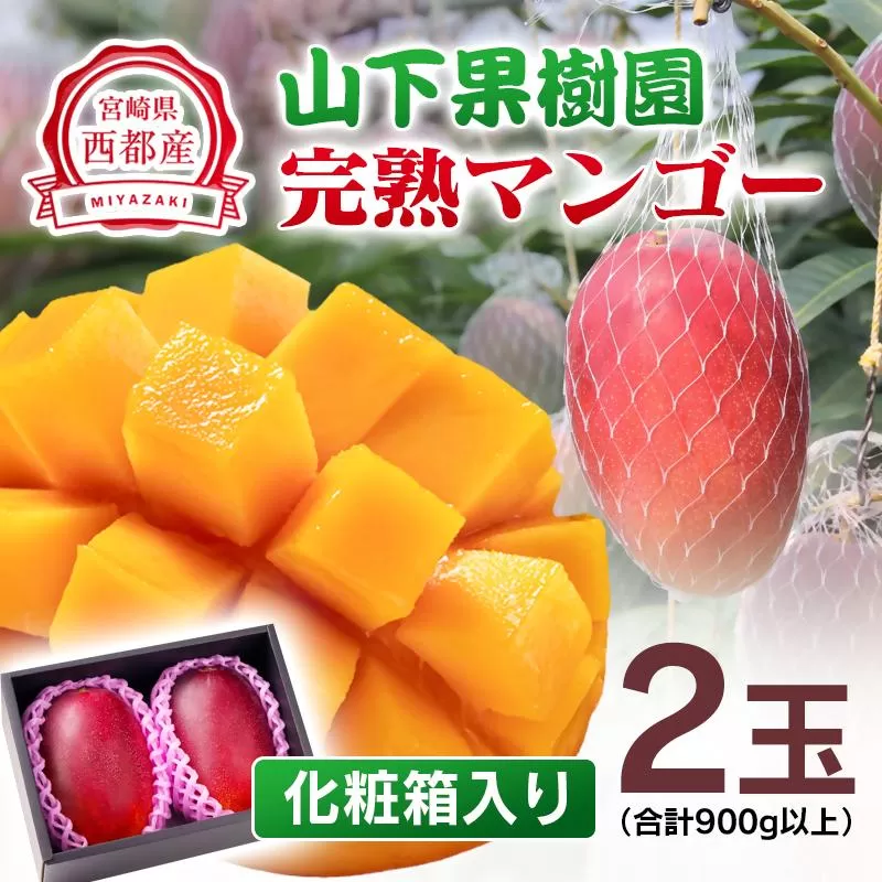 [先行予約]山下果樹園 西都市産完熟マンゴー2玉(合計900g以上)化粧箱入り 2026年発送 [1.8-17]果物 くだもの フルーツ 西都市 宮崎県