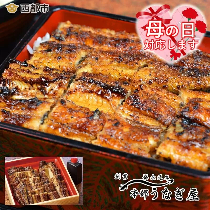 【母の日ギフト】老舗「本部うなぎ屋」鰻の蒲焼　カット済み　国産鰻<12-1a>