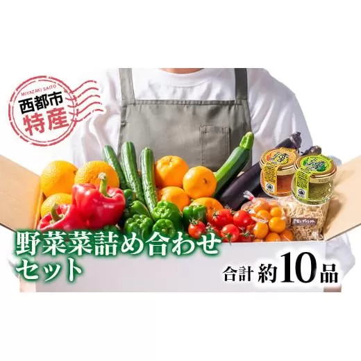 【数量限定・先行予約】西都市特産新鮮野菜と柚子こしょう詰め合わせセット＜1-48＞野菜 調味料 特産品 宮崎県西都市