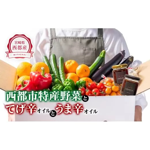 西都市特産新鮮野菜・てげ辛うま辛オイルセット【先行予約・数量限定】＜1.5-23＞西都市産 調味料 オイル 加工品 野菜 宮崎県西都市