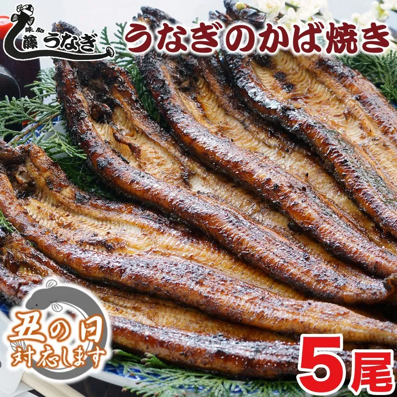 【土用の丑の日】　藤うなぎ かば焼き5尾 国産うなぎ 宮崎 蒲焼 鰻＜15-3a＞