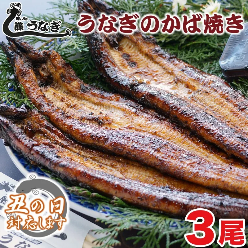 【土用の丑の日】藤うなぎ かば焼き3尾 国産うなぎ 宮崎 蒲焼 鰻＜15-2a＞