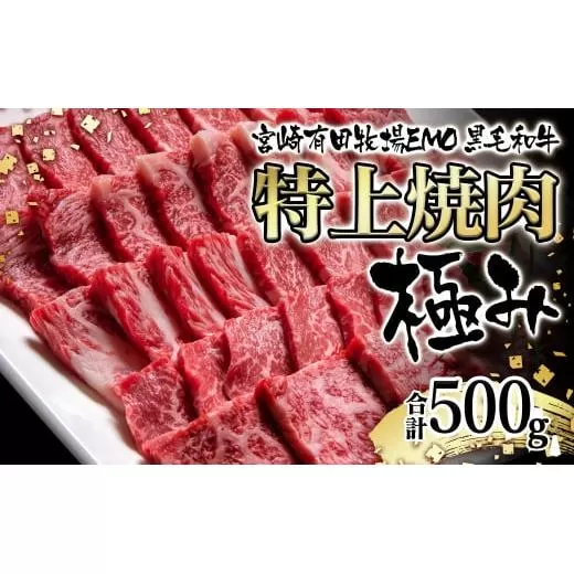黒毛和牛稀少部位を含む 特上焼肉極み500g 有田牧畜産業ブランドEMO牛 牛肉 焼肉 国産牛肉[1.8-23]牛肉 焼肉 国産牛 宮崎県 西都市