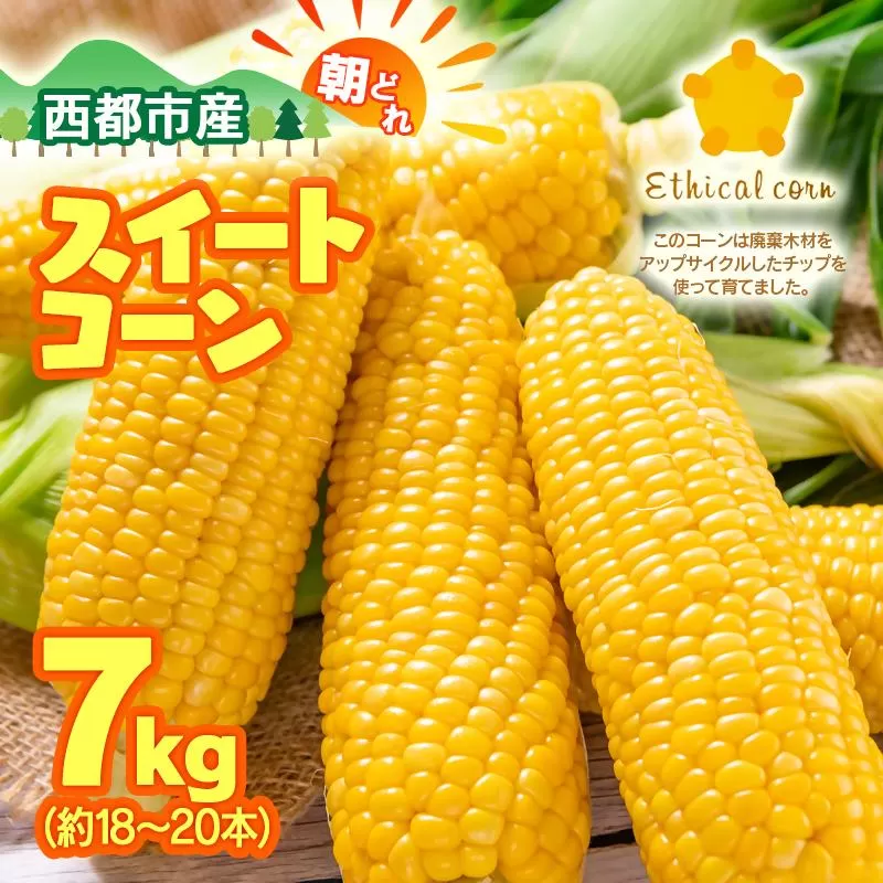 【先行予約】 朝どれ スイートコーン ゴールドラッシュ7kg 西都市産とうもろこし＜1.2-24＞★