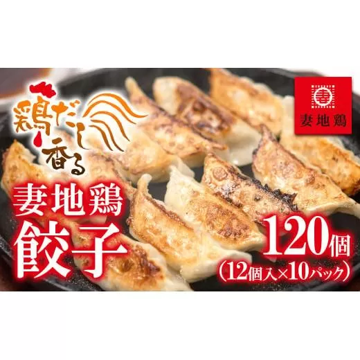 ブランド地鶏「妻地鶏」ぎょうざ詰合せ45　120個（12個×10パック） 小分け＜1.5-13＞