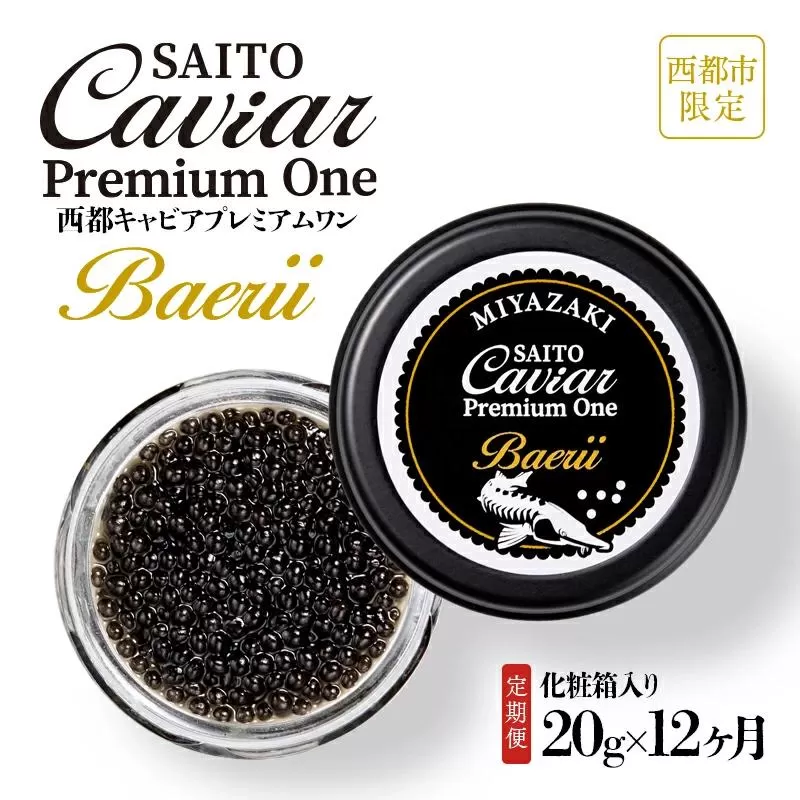 【12ヶ月定期便】SAITO CAVIAR PREMIUM ONE BAERII 20g×12ヶ月 ＜50-1＞キャビア 西都市オリジナル 魚介類 魚卵 高級品 ご褒美 贈り物 宮崎県西都市 バエリ