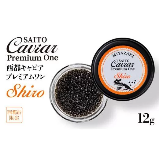 西都キャビア プレミアムワン シロ 12ｇ『SAITO CAVIAR PREMIUM ONE SHIRO』 国産《西都市オリジナル》 熟成キャビア＜3.8-1＞魚介 魚介類 魚卵 高級珍味 ギフト 宮崎県西都市