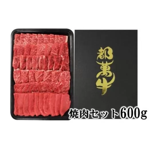 黒毛和牛『都萬牛』おまかせ焼肉セット600g[2-24]牛肉 オリジナルブランド 肉 宮崎県西都市