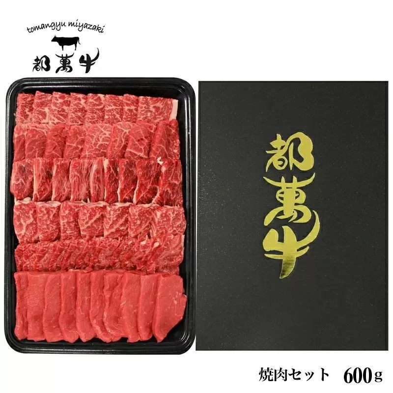 黒毛和牛『都萬牛』焼肉600g 国産牛肉<2-24>
